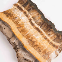 Barite w/ Pyrite - Slab