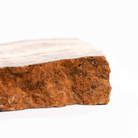 Barite w/ Pyrite - Slab