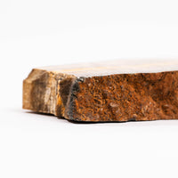 Barite w/ Pyrite - Slab