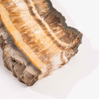 Barite w/ Pyrite - Slab