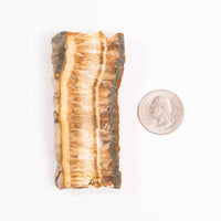 Barite w/ Pyrite - Slab