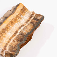 Barite w/ Pyrite - Slab