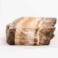 Barite w/ Pyrite - Slab