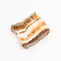 Barite w/ Pyrite - Slab