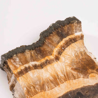 Barite w/ Pyrite - Slab