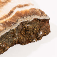 Barite w/ Pyrite - Slab
