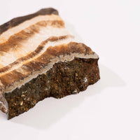 Barite w/ Pyrite - Slab