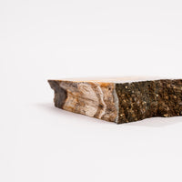 Barite w/ Pyrite - Slab