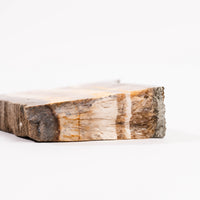 Barite w/ Pyrite - Slab