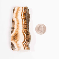 Barite w/ Pyrite - Slab