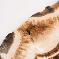 Barite w/ Pyrite - Slab