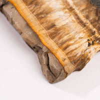 Barite w/ Pyrite - Slab