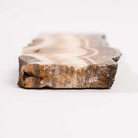 Barite w/ Pyrite - Slab