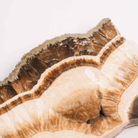 Barite w/ Pyrite - Slab