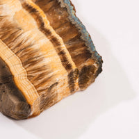 Barite w/ Pyrite - Slab