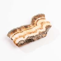 Barite w/ Pyrite - Slab