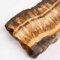 Barite w/ Pyrite - Slab