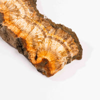 Barite w/ Pyrite - Slab