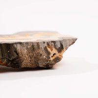 Barite w/ Pyrite - Slab