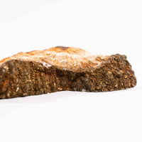 Barite w/ Pyrite - Slab