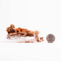 Selenite, Beremejillo
