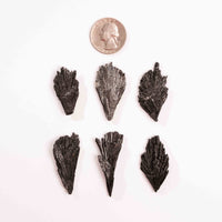 Kyanite - Black, Rough Small Intuitive