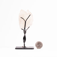 Quartz, Clear- Cathedrals