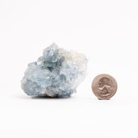 Celestite - Cluster