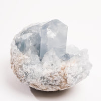 Celestite - Cluster