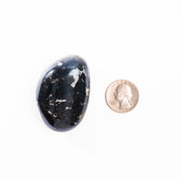 Covellite - Palm, Polished