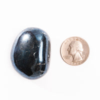 Covellite - Palm, Polished