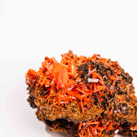 Crocoite- Cluster