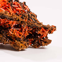 Crocoite- Cluster