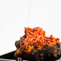 Crocoite- Cluster