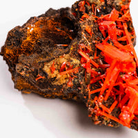 Crocoite- Cluster
