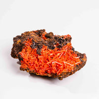 Crocoite- Cluster
