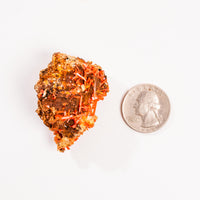 Crocoite- Cluster
