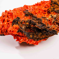 Crocoite- Cluster