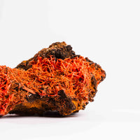 Crocoite- Cluster