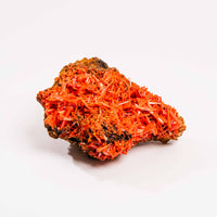 Crocoite- Cluster