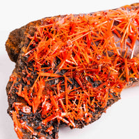 Crocoite- Cluster