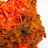 Crocoite- Cluster