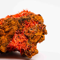 Crocoite- Cluster