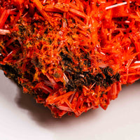 Crocoite- Cluster