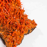 Crocoite- Cluster