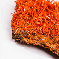 Crocoite- Cluster