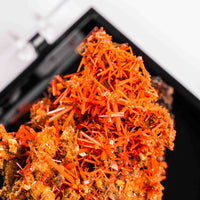 Crocoite- Cluster