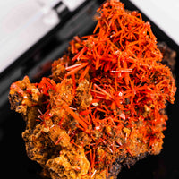 Crocoite- Cluster