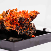 Crocoite- Cluster