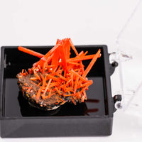 Crocoite- Cluster